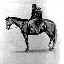 Illustration of Sacagawea