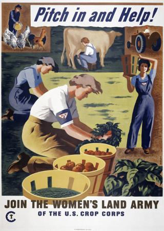 Food Rationing And Canning In World War Ii National Women S