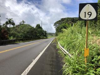 Honomu, Hawaii, where Kanaka’ole grew up. The photo depicts blue skies, lush grass and palm trees on the side of a local highway. Image sourced from Wikimedia Commons. 