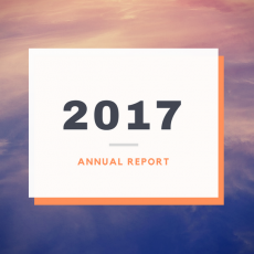 2017 - Annual Report